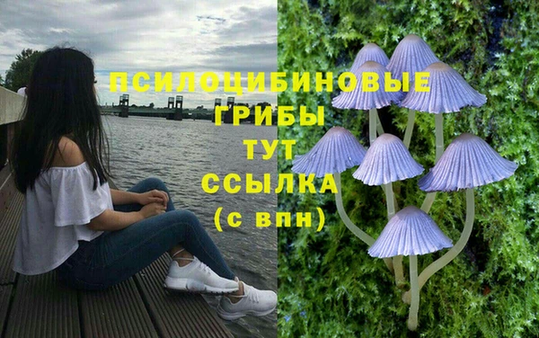 хмурый Заволжье